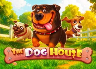 godplus สมัคร The Dog House ทดลองเล่นฟรี